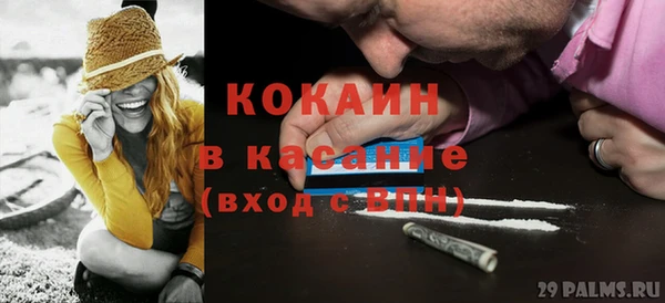соль ск Алзамай