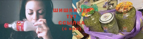 соль ск Алзамай