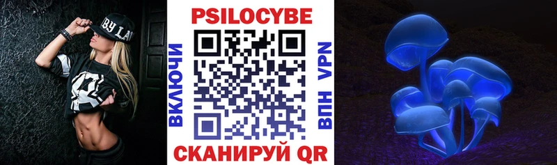 МЕГА как войти  Киржач  Псилоцибиновые грибы Psilocybe 