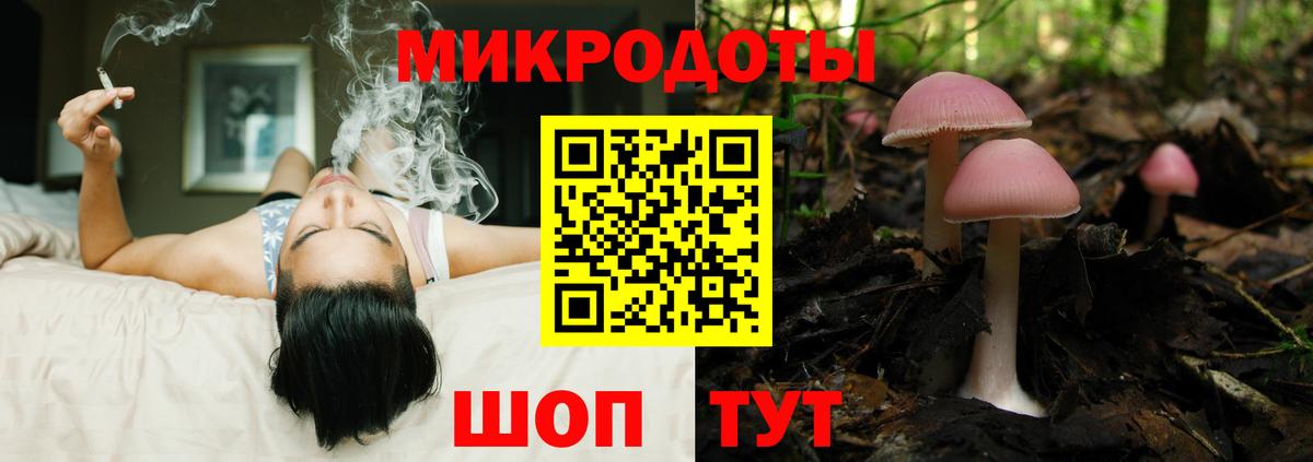 Киржач  Псилоцибиновые грибы прущие грибы  Псилоцибиновые грибы мицелий  Вход с VPN 